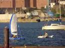 MiniCat the ultimate boating gadget!!! Plymouth