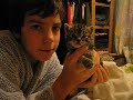 Cutest 3 week old tabby kitten