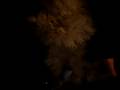 videos de White Heart Molly messing about