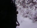 Winterdampf im Harz