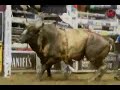 Justin McBride VS Billionaire Justin McBride VS Billionaire