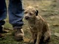 bud light funny commercial