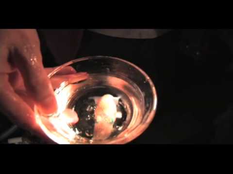 Symbiosis: bacteria and higher organisms