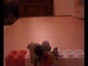 warhammer 40k stop motion mini-battle...