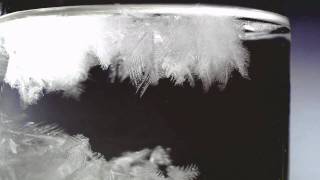 Time Lapse - BIG Storm Glass HD test-2