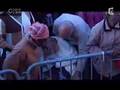 Nouvelle France, nouvelle religion