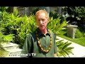 Hawaiians Banned From `Iolani Palace?