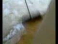 videos de la lavatrice