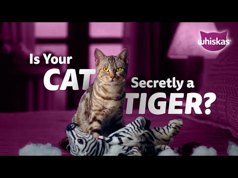 WHISKAS-For the Tiger in Your Cat