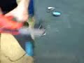 uservideo