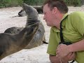 Galapagos Islands