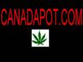Cop and Wife make Marijuana Weed Brownies then call 911 Pot