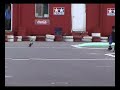 RC superbike clips