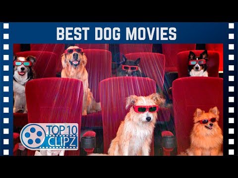 Top 10 Best Dog Movies for Dog Lovers