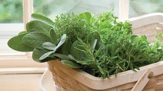 Fresh Garden Herbs