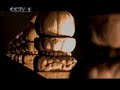 Jean Michael Jarre - Zoolookologie