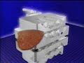 Meat Tenderizer Meat Tenderizer
