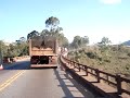 Viaduto das Almas
