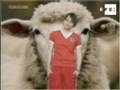 Ingleses promueven apoyo  España en Eurocopa con sentido del humor