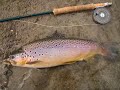 Fly fishing in Patagonia, Chile Fly fishing in Patagonia, Chile