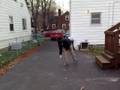 Coutts chair smash