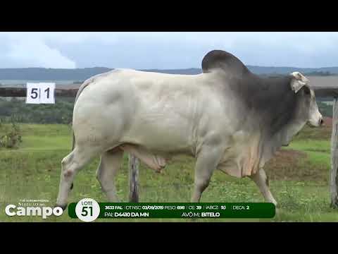 1 De Olho na Fazenda SELEO DO CAMPO