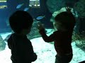 Alex & Ryoga in Sea Paradise