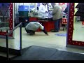 tonteria-en-el-puto-eroski.html