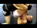 Brazilian Jiu-Jitsu 2