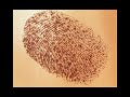 if you've ever wandered what goes into planning it initiatives for a complex enterprise such as vanderbilt university, watch this short but informative video of the its 2008 3-year planning kickoff. it shows some of the planning that produced the revised its 3 year strategic plan for 2008-2011.