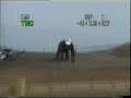 MONKEYNUTZ CRASHES