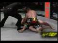 CFC Tommy Trauma Sauer