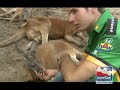Will Power Wildlife Tour