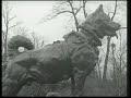 Balto Monument