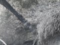 Click here to watch this video Bubbling mud at Rotorua, New Zealand