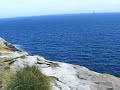 Rockhoppers