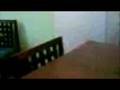 videos de Ratatouille En El Hospital El Tunal