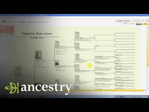 how to your family tree