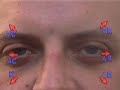 NLP - Eye movements