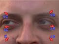 Eye Paterns (NLP)