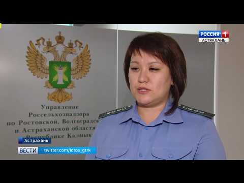 Управлением Россельхознадзора проводится федеральный лабораторный мониторинг качества и безопасности продукции животного происхождения в дошкольных учреждениях города Астрахани