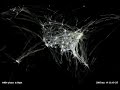 FAA Flight Patterns