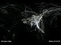 FAA Flight Patterns