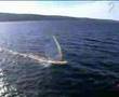 Formula windsurf - Nordisk Mesterskap drøbak 2005