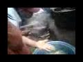 cOCINANDO A UN CUY