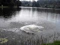 David Jumping into Kodai Lake