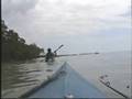 Wildlife Adventures with Steve: Everglades Adventure Part 4