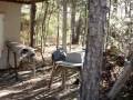 Survivalist deer camp example