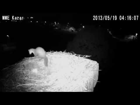 Rejt�lyes �jszakai l�togat� Kaz�ron_Best computer, UFO sightings, mobil, internet videos of the week 
