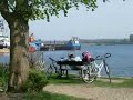 Die Schlei
